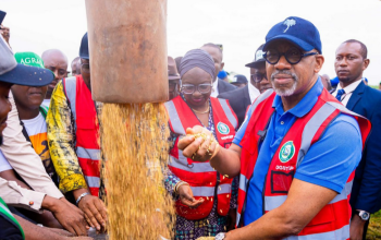 A vision of a flourishing rice field in Ogun State, symbolizing the potential for large-scale agricultural growth.