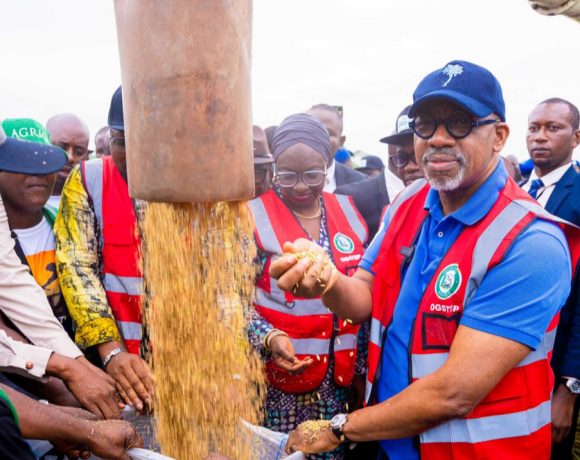 A vision of a flourishing rice field in Ogun State, symbolizing the potential for large-scale agricultural growth.